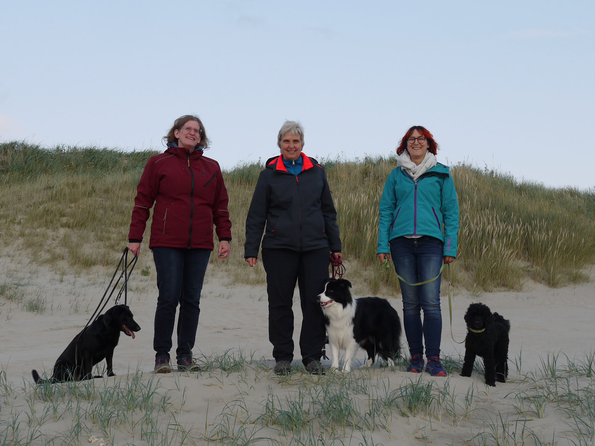 Hunde Naturell Urlaub Römö