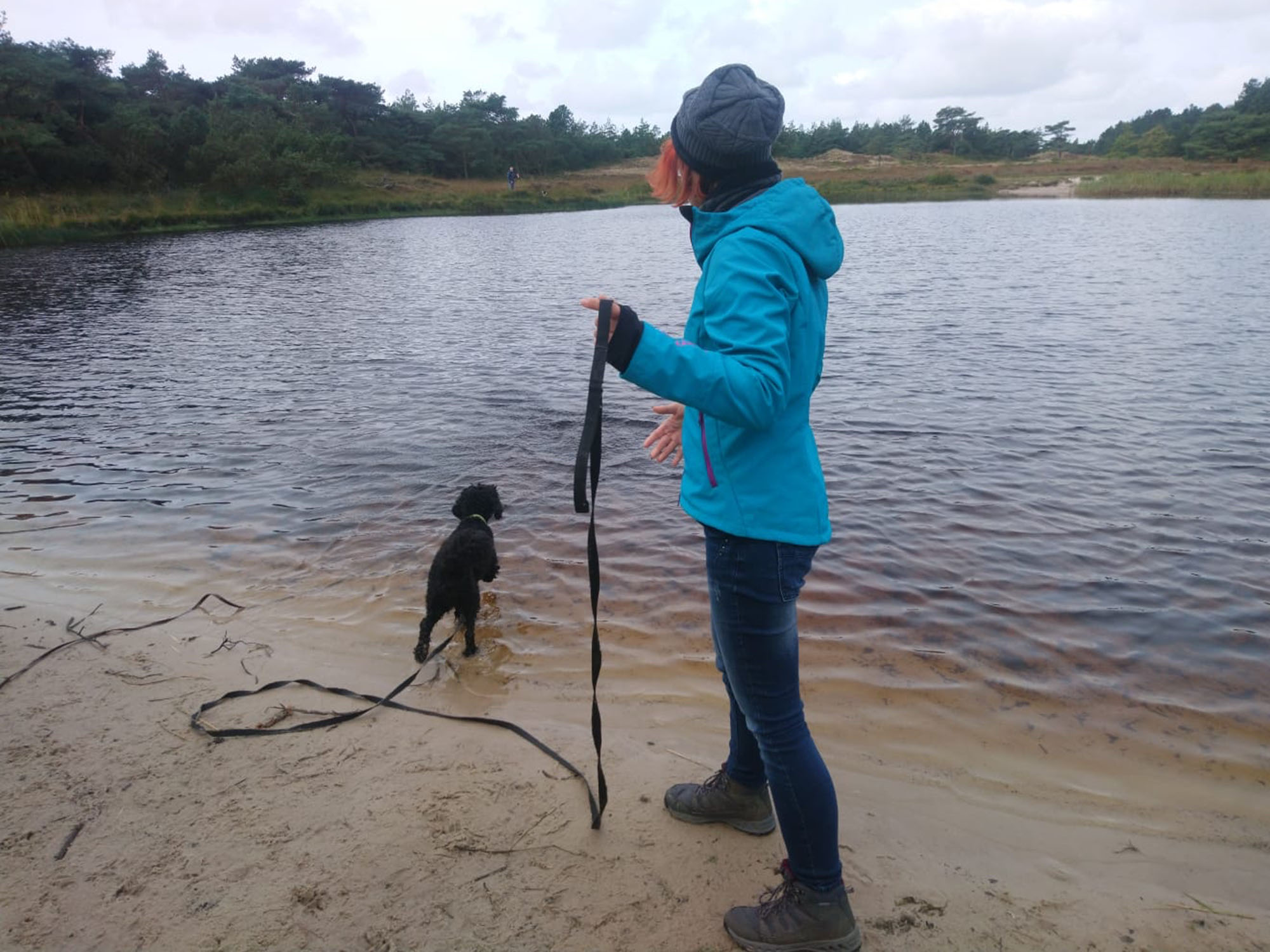Wasserapport Hunde Naturell