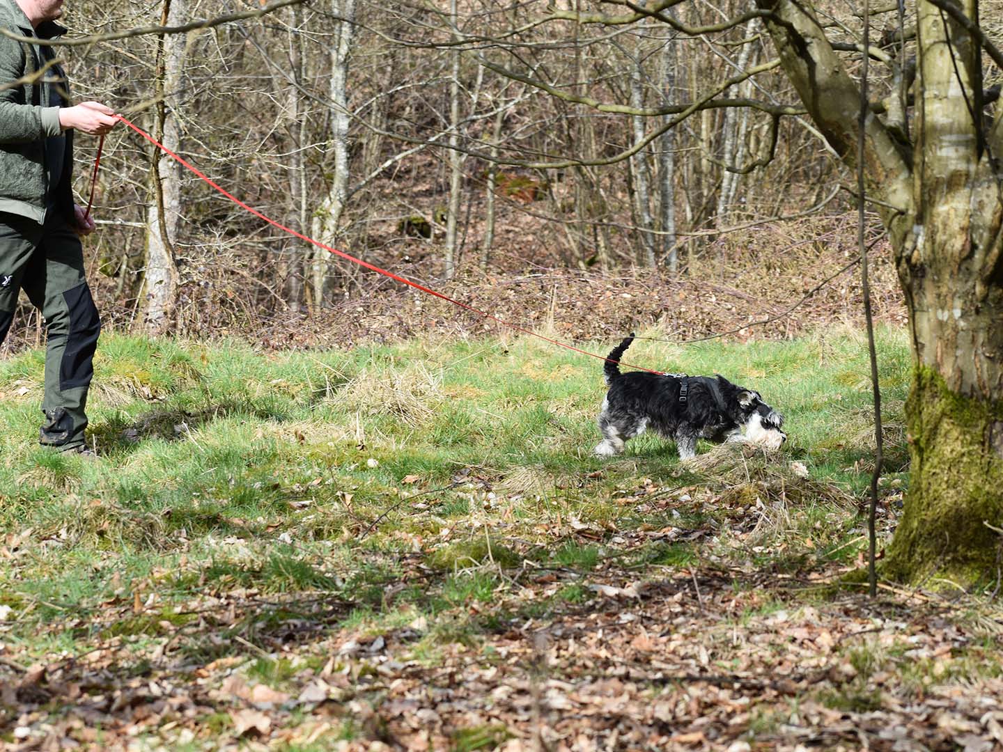 F__hrtensuche_Hunde_Naturell