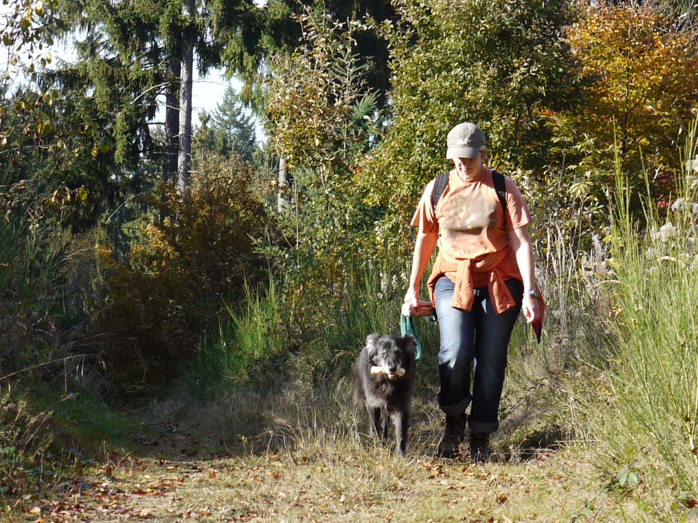 Herbst_Hundespass Individuelle Beratung Hundeerziehung