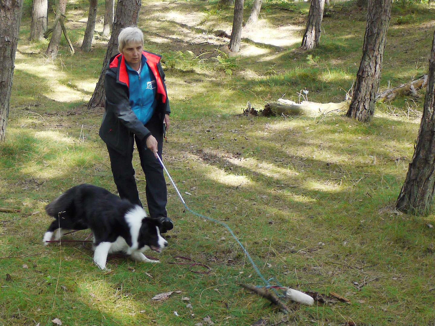 Reizangel_Hunde_Naturell