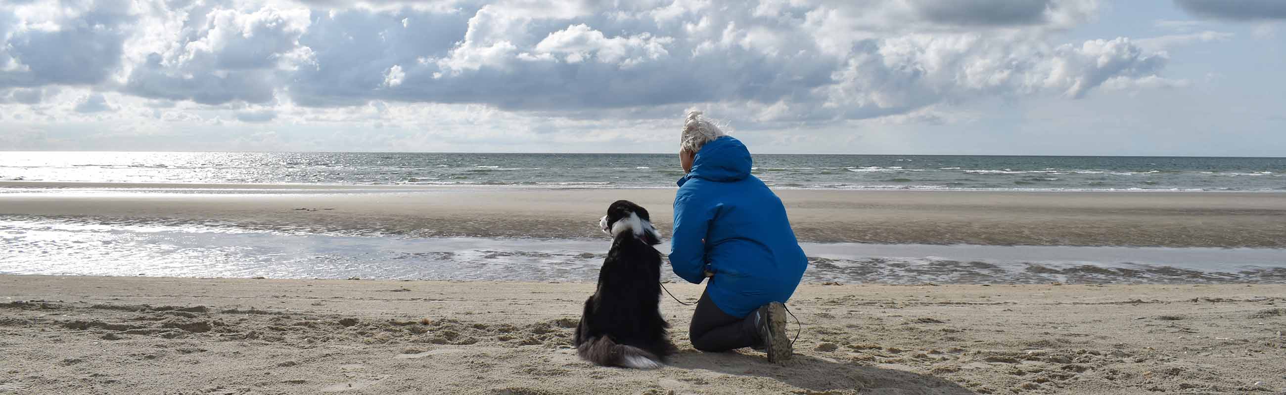 Hund Gesundheit
