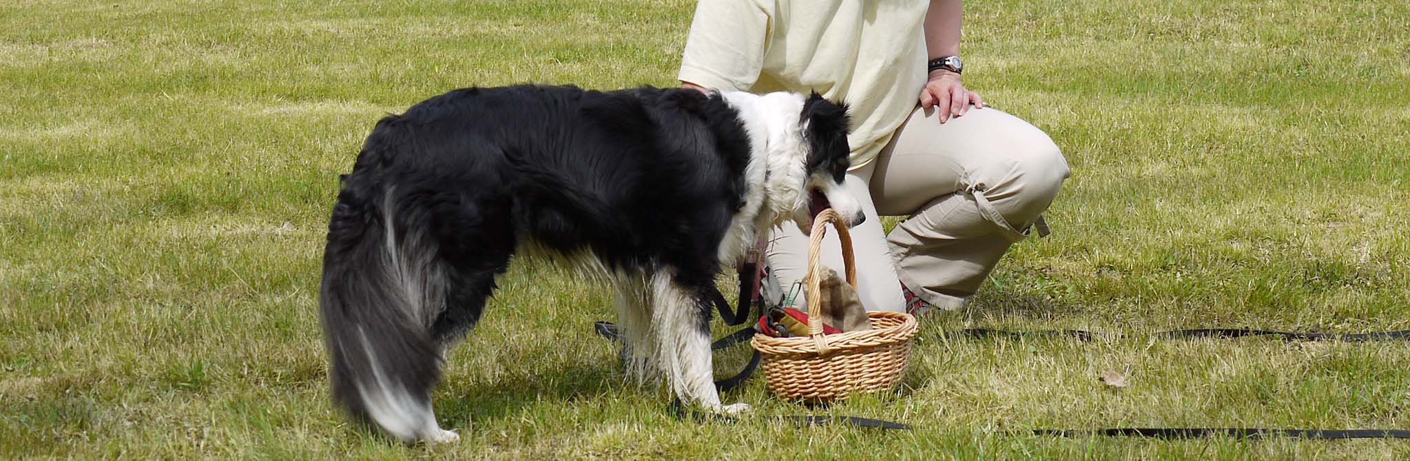 Hund Angebote Hunde Naturell