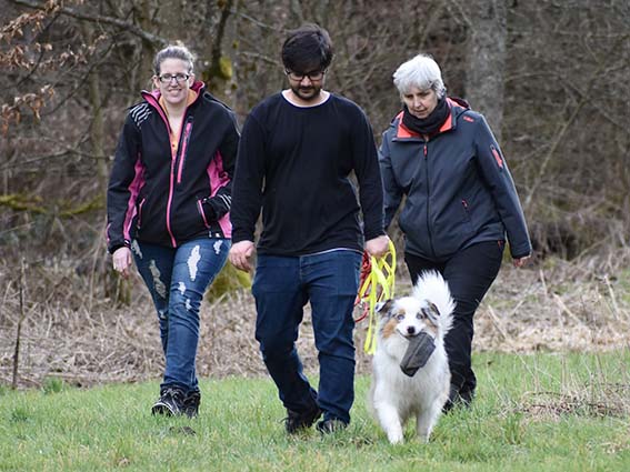 Individuelle Beratung Hundeerziehung